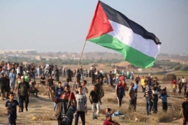 Sigue el genocidio en Palestina: más de 11.000 asesinatos