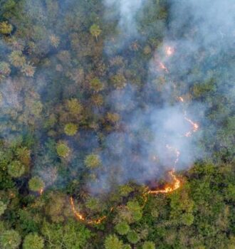 En el gobierno del cambio la crisis ambiental persiste