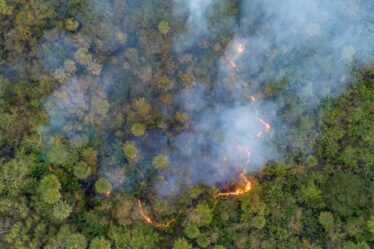 En el gobierno del cambio la crisis ambiental persiste