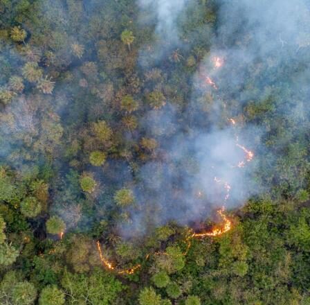 En el gobierno del cambio la crisis ambiental persiste