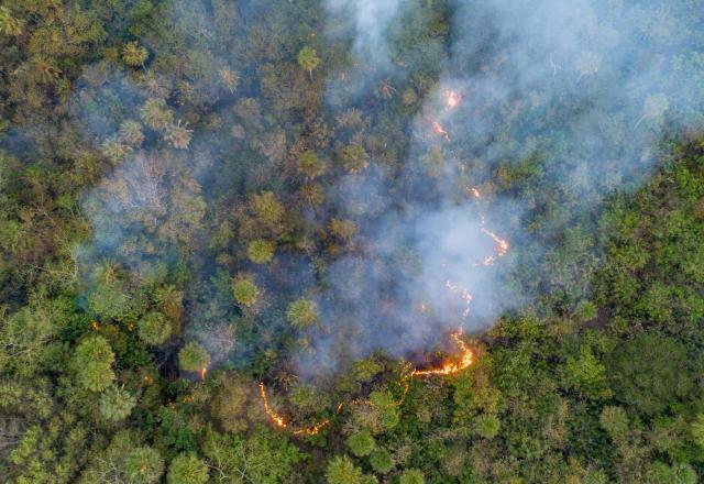 En el gobierno del cambio la crisis ambiental persiste