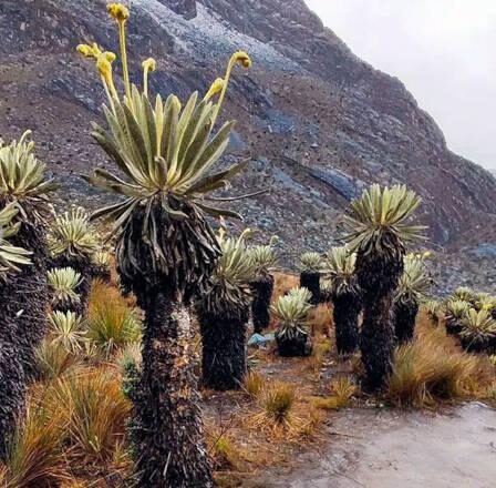 ¿La COP16 para quién?