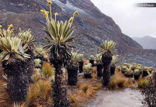 ¿La COP16 para quién?