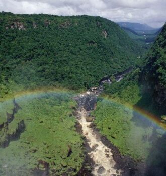 La Amazonia agoniza