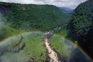 La Amazonia agoniza