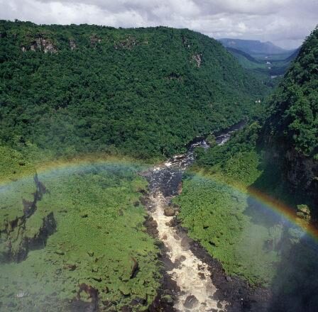 La Amazonia agoniza