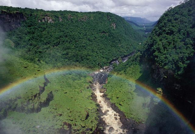 La Amazonia agoniza