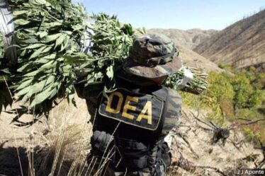 La DEA, enfriando agentes