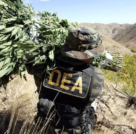 La DEA, enfriando agentes