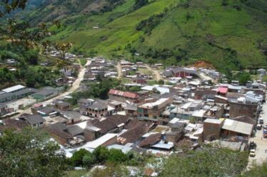 Difícil situación viven estudiantes en Argelia