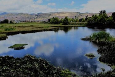 La estructura ecológica de Bogotá está en riesgo por la avaricia del gran capital