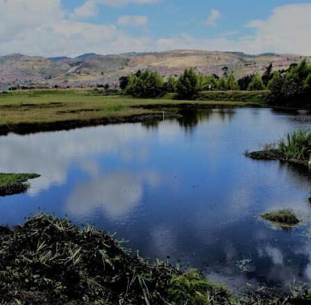 La estructura ecológica de Bogotá está en riesgo por la avaricia del gran capital