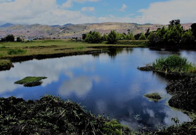 La estructura ecológica de Bogotá está en riesgo por la avaricia del gran capital