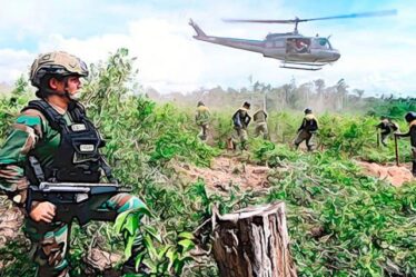 La farsa antidrogas otra vez