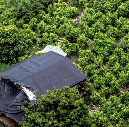 Amenaza política, la vieja receta del control imperial