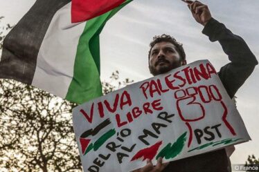 Gaza se niega a morir